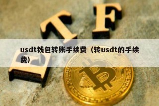usdt钱包转账手续费（转usdt的手续费）