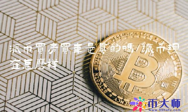 派币买房买车是真的吗-第1张图片-欧意下载