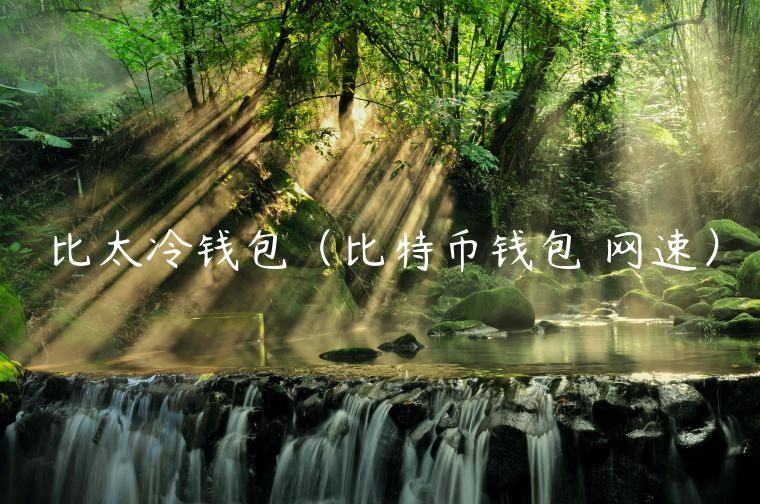 比太冷钱包（比特币钱包 网速）-第1张图片-欧意下载
