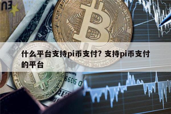 paypal支持pi币吗 国内哪些地方支持pi币支付-第1张图片-欧意下载