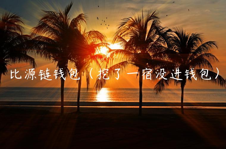比源链钱包(挖了一宿没进钱包)-第1张图片-欧意下载 比源链钱包(挖了一宿没进钱包)-第1张图片-欧意下载