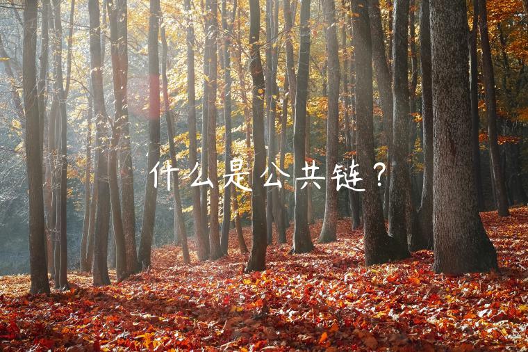 什么是公共链?-第1张图片-欧意下载 什么是公共链?-第1张图片-欧意下载