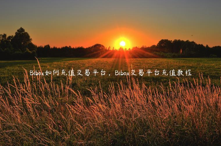 Bibo如何充值交易平台，Bibo交易平台充值教程-第1张图片-欧意下载