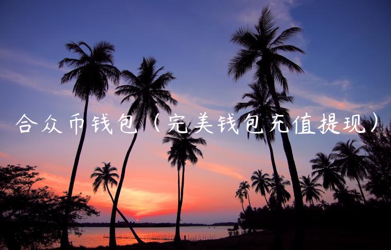 合众币钱包（完美钱包充值提现）-第1张图片-欧意下载