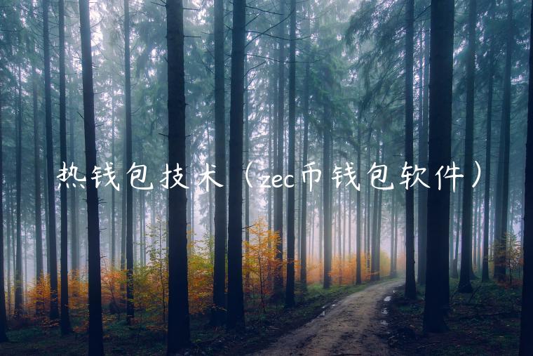 热钱包技术（zc币钱包软件）-第1张图片-欧意下载