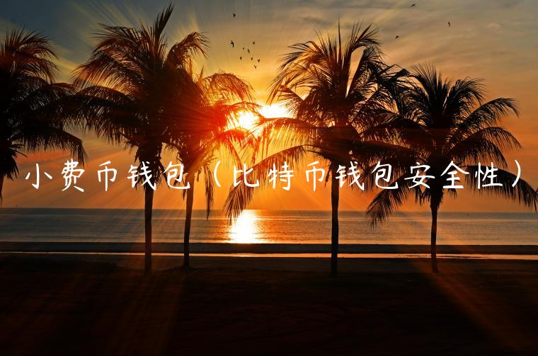 小费币钱包（比特币钱包安全性）-第1张图片-欧意下载