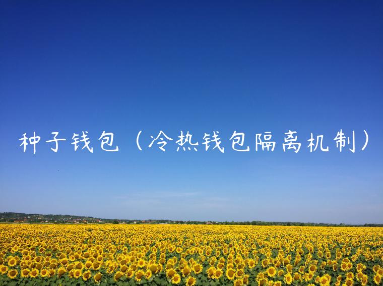 种子钱包（冷热钱包隔离机制）-第1张图片-欧意下载