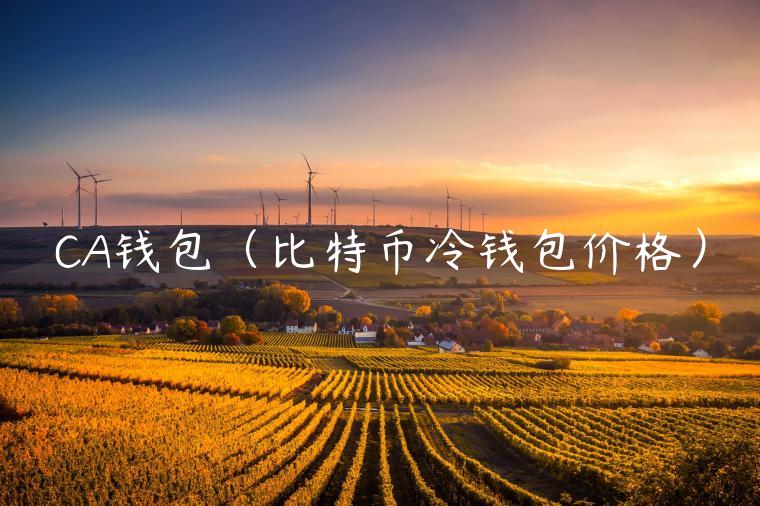 CA钱包（比特币冷钱包价格）-第1张图片-欧意下载