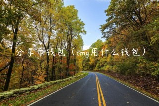 分享币钱包（omg用什么钱包）