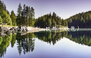 z币钱包（bts放那个钱包）