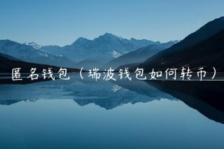 匿名钱包（瑞波钱包如何转币）
