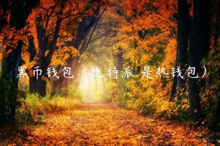 黑币钱包（比特派 是热钱包）