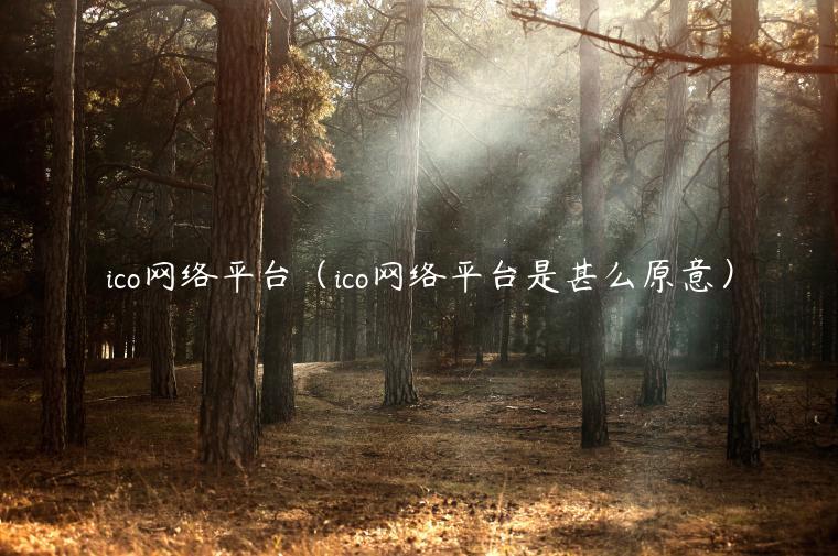 ico网络平台(ico网络平台是甚么原意)-第1张图片-欧意下载 ico网络平台(ico网络平台是甚么原意)-第1张图片-欧意下载