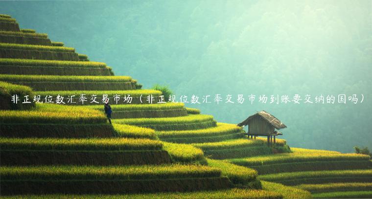非正规位数汇率交易市场（非正规位数汇率交易市场到账要交纳的国吗）-第1张图片-欧意下载