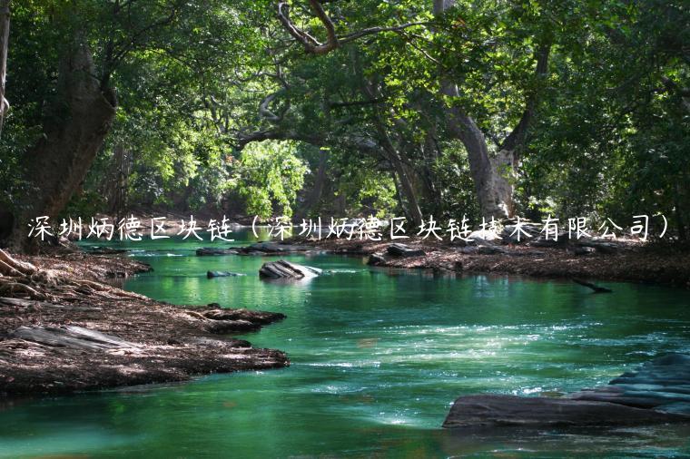 深圳炳德区块链(深圳炳德区块链技术有限公司)-第1张图片-欧意下载 深圳炳德区块链(深圳炳德区块链技术有限公司)-第1张图片-欧意下载