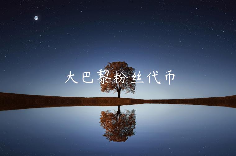大巴黎粉丝代币-第1张图片-欧意下载
