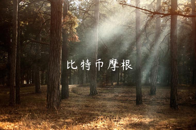 比特币摩根-第1张图片-欧意下载 比特币摩根-第1张图片-欧意下载
