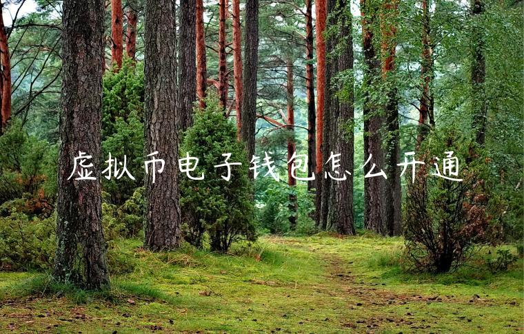 虚拟币电子钱包怎么开通-第1张图片-欧意下载 虚拟币电子钱包怎么开通-第1张图片-欧意下载