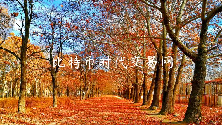 比特币时代交易网-第1张图片-欧意下载 比特币时代交易网-第1张图片-欧意下载