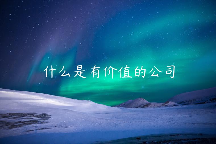 什么是有价值的公司-第1张图片-欧意下载 什么是有价值的公司-第1张图片-欧意下载