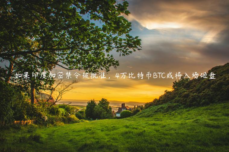 如果印度加密禁令被批准，4万比特币BTC或将入场砸盘-第1张图片-欧意下载
