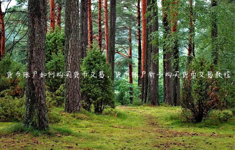 货币账户如何购买货币交易，货币账户新手购买货币交易教程-第1张图片-欧意下载