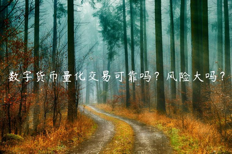 数字货币量化交易可靠吗？风险大吗？-第1张图片-欧意下载
