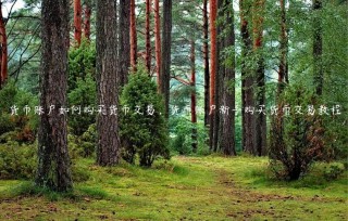 货币账户如何购买货币交易，货币账户新手购买货币交易教程