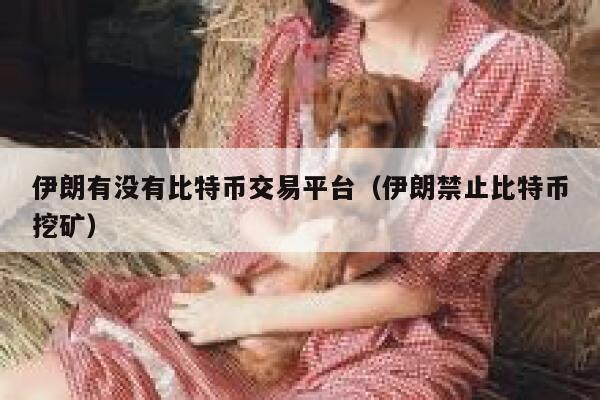 伊朗有没有比特币交易平台（伊朗禁止比特币挖矿）-第1张图片-欧意下载