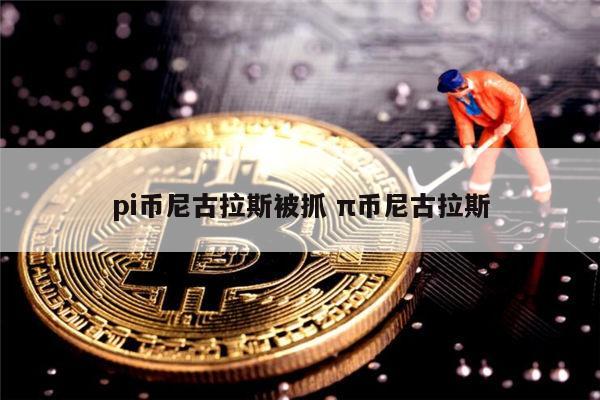pi币尼古拉斯被抓了嘛 π币是否合法-第1张图片-欧意下载 pi币尼古拉斯被抓了嘛 π币是否合法-第1张图片-欧意下载