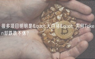 很多项目明明是"大白马" 为何Tokbn却跌跌不休？