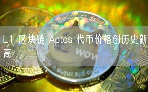 L1 区块链 Aptos 代币价格创历史新高-第1张图片-欧意下载 L1 区块链 Aptos 代币价格创历史新高-第1张图片-欧意下载