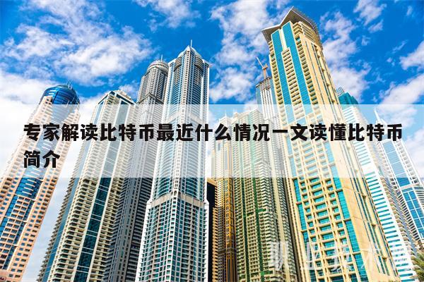 专家解读比特币最近什么情况一文读懂比特币简介-第1张图片-欧意下载