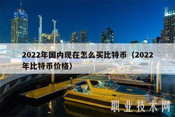2022年国内现在怎么买比特币（2022年比特币价格-第1张图片-欧意易下载