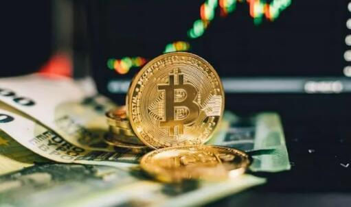 派币与比特币(派币会像比特币一样吗)-第1张图片-欧意易下载