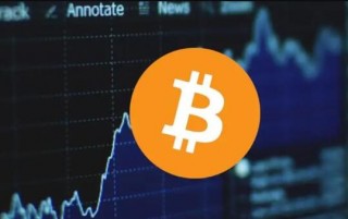 shibi未来价格(shibi发行价格)