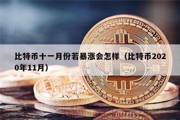 比特币十一月份若暴涨会怎样（比特币2020年11月）-第1张图片-欧意易下载