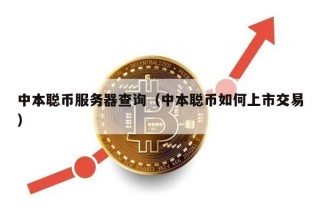 中本聪币服务器查询（中本聪币如何上市交易）