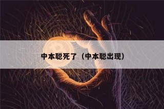 中本聪死了（中本聪出现）