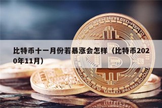 比特币十一月份若暴涨会怎样（比特币2020年11月）