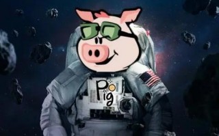 pig币(pig币)交易所app官网下载苹果版的IOS下载教程 pig币中国版安卓平台下载