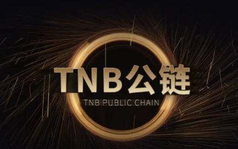 派币要投资多少钱(派币目前价格是多少)-第1张图片-欧意易下载