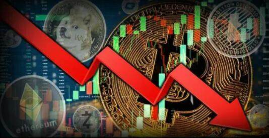 派的价格多少钱一个(派最新价格)-第1张图片-欧意易下载