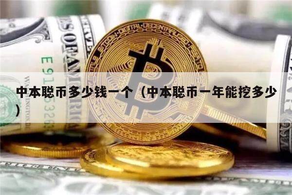 中本聪币多少钱一个（中本聪币一年能挖多少）-第1张图片-欧意易下载