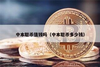 中本聪币值钱吗（中本聪币多少钱）
