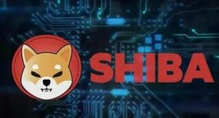 比特币兑美元新浪(美元兑比特币 新浪)