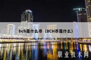 bch是什么币（BCH币是什么