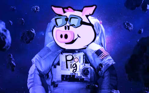 pig币app怎么使用 pigbinance卓手机交易平台-第1张图片-欧意易下载