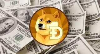 宝贝狗币最新价格(宝贝狗币价格今日行情)