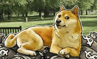 狗币交易所中国能用么 狗币交易所下载安卓最新